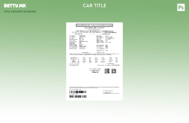 Шаблон за извештај за инспекција на возилото во модерен стил на САД Тексас